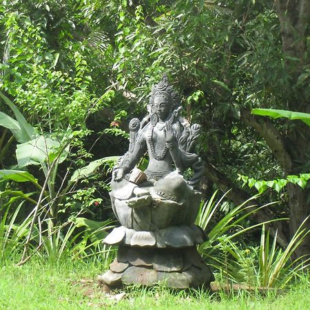 Sananda Bungalow โลวินา ภายนอก รูปภาพ