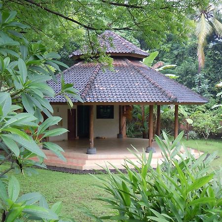 Sananda Bungalow โลวินา ภายนอก รูปภาพ