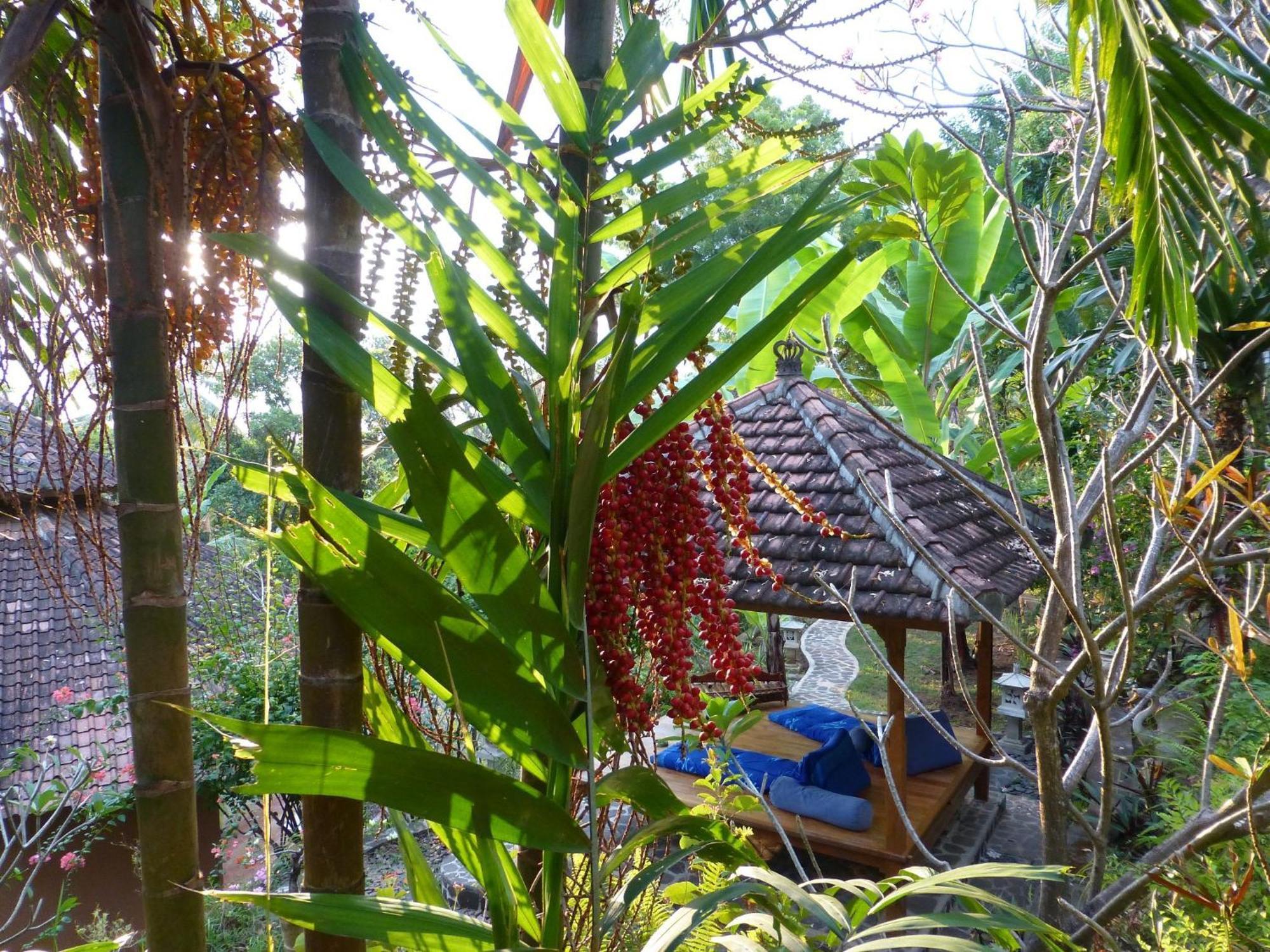 Sananda Bungalow โลวินา ภายนอก รูปภาพ