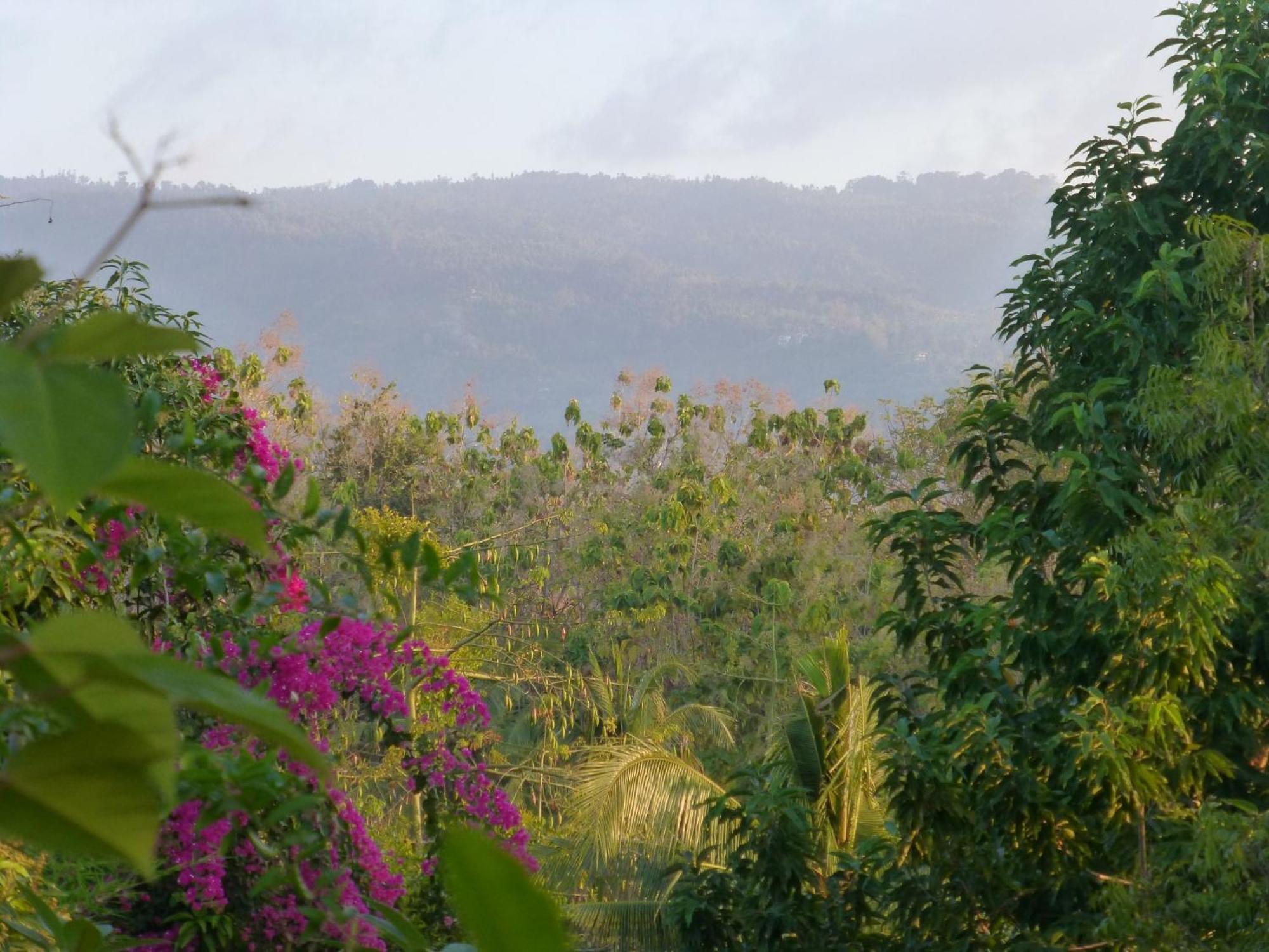 Sananda Bungalow โลวินา ภายนอก รูปภาพ