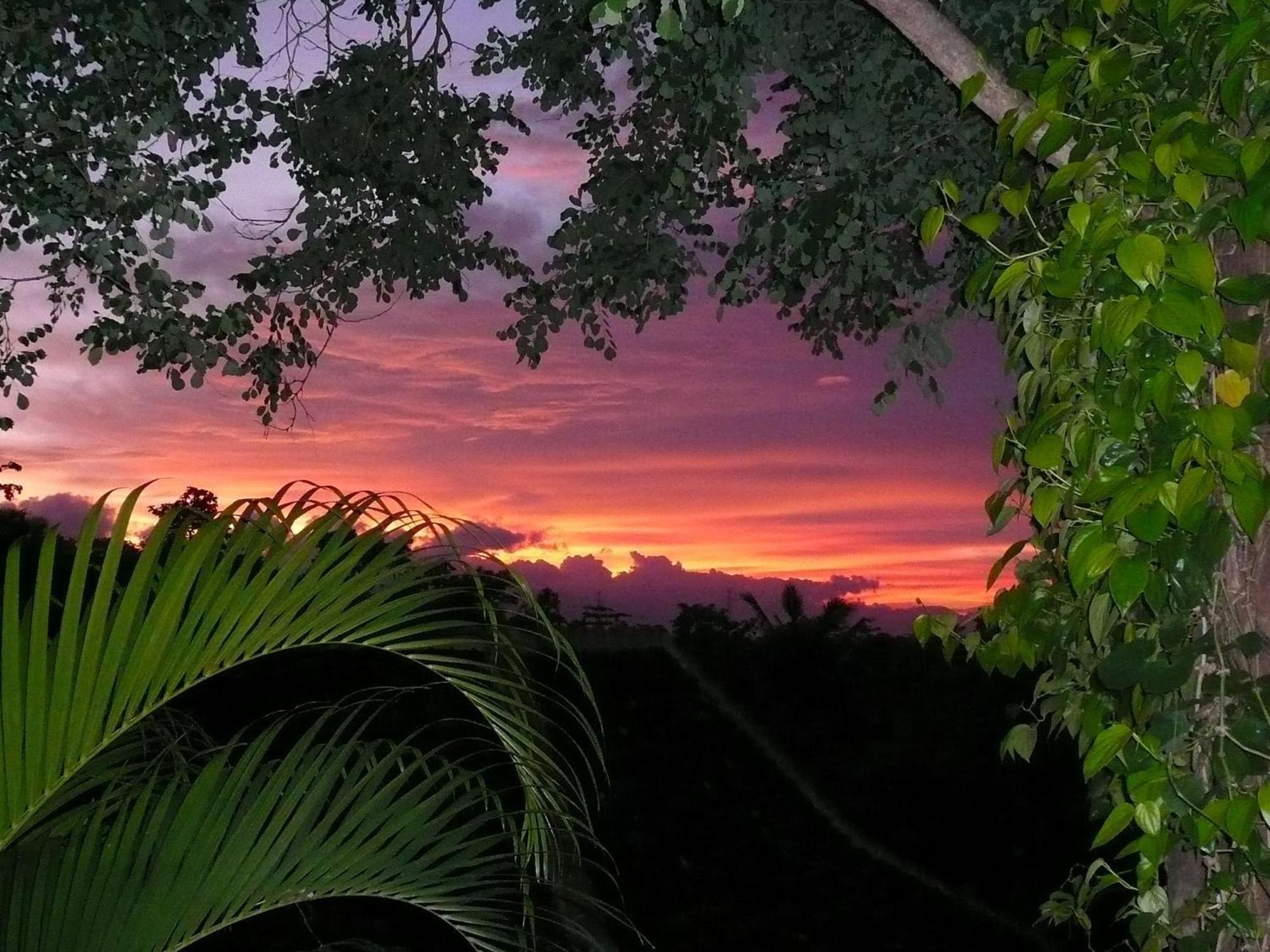 Sananda Bungalow โลวินา ภายนอก รูปภาพ