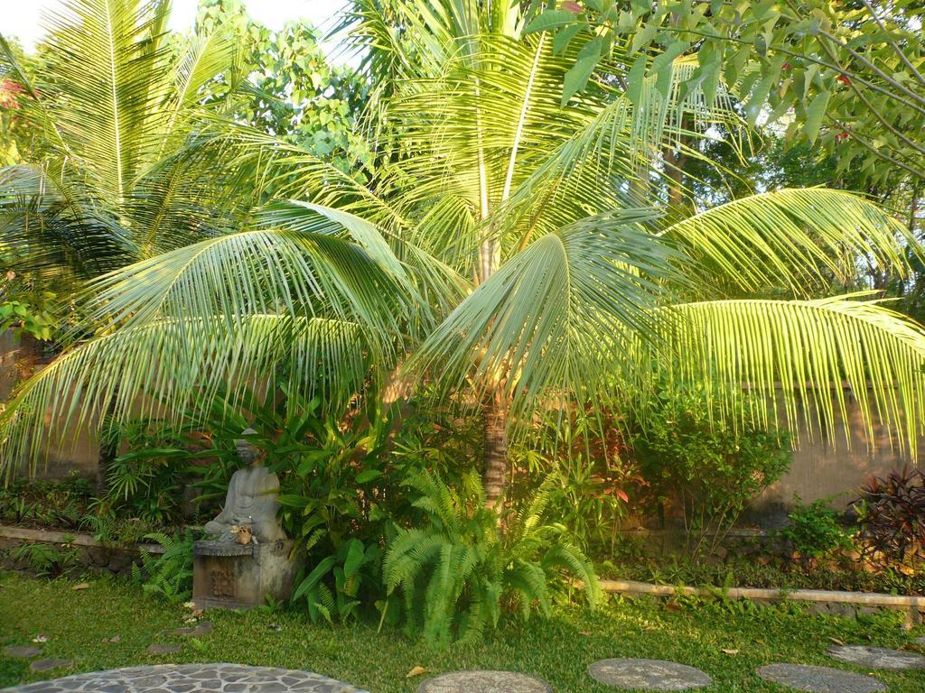 Sananda Bungalow โลวินา ภายนอก รูปภาพ